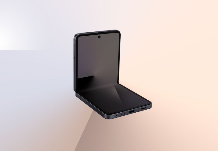 Samsung Galaxy Z Flip7 12/256Gb (Jetblack)