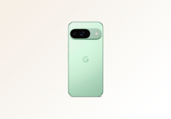 Смартфон Google Pixel 9 12/128Gb (Wintergreen)