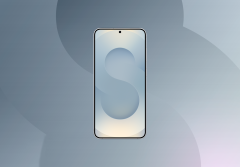 Samsung Galaxy S25 Plus 12/512Gb (Серый)