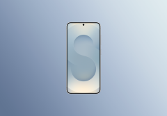 Samsung Galaxy S25 12/512Gb (Серый)