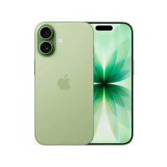 Apple iPhone 17 256GB Sage (Зеленый) (Dual SIM)