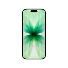 Apple iPhone 17 256GB Sage (Зеленый) (eSIM)