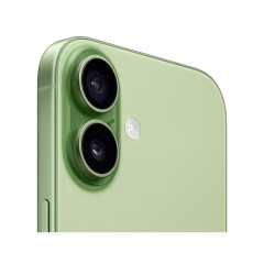 Apple iPhone 17 256GB Sage (Зеленый) (eSIM)
